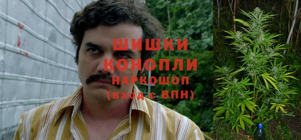 каннабис Каменногорск