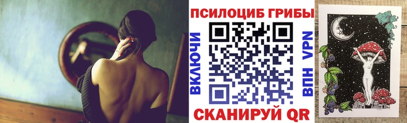 Псилоцибиновые грибы прущие грибы  Купить закладки  Заречный 
