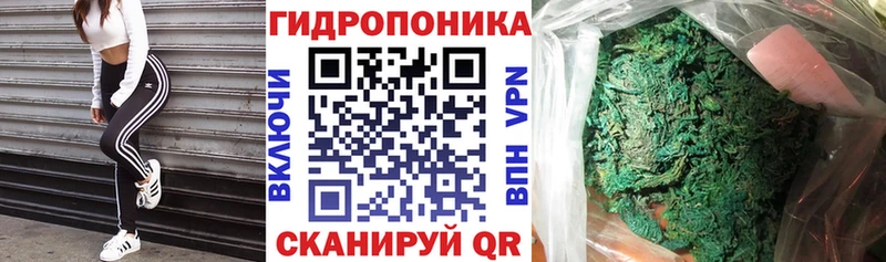 Купить закладки  Заречный  Каннабис Ganja 